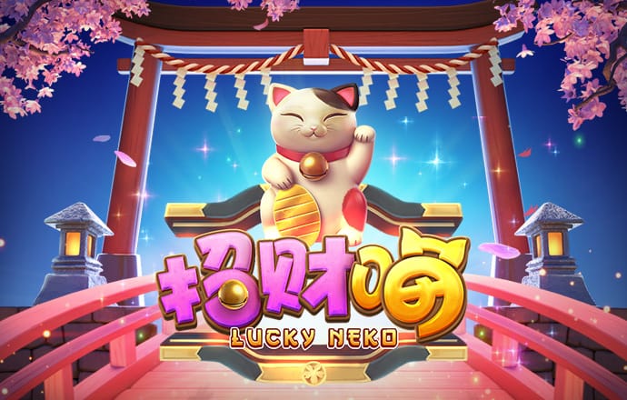 bibo体育官网入口